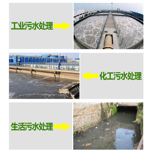 TS 851 植物型除臭剂
